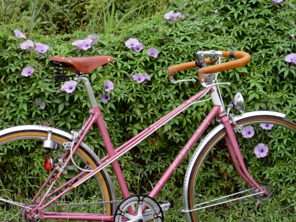 pink mixte | a new recyclist