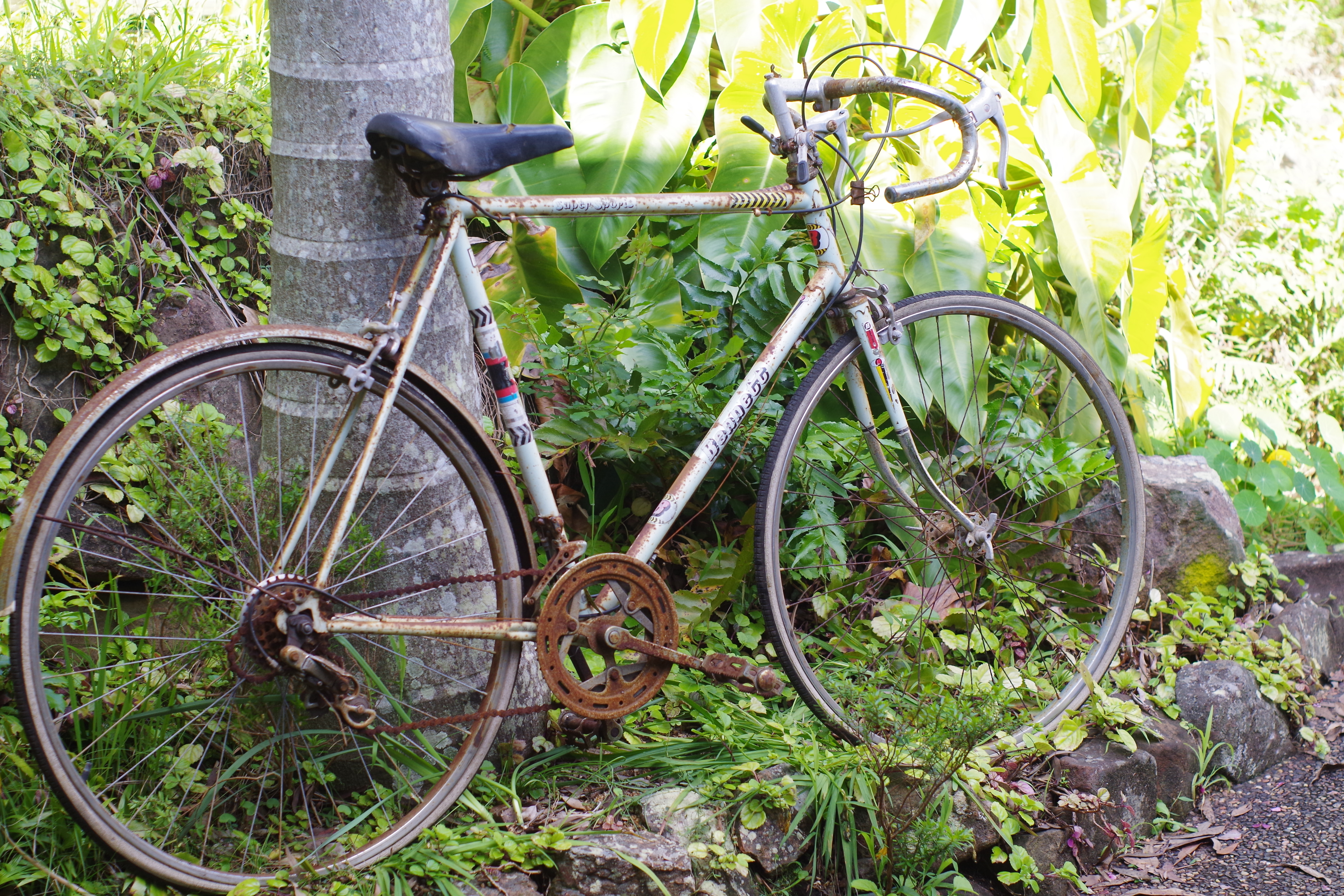 VINTAGE ORIGINAL 70s 80s LOT OLD SCHOOL BIKE BICYCLE GRAECROSS SHOP STICKER 